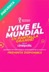 WC22: Final