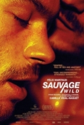 Salvaje