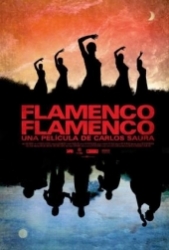 Flamenco, Flamenco