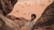 Theeb