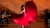 Flamenco, Flamenco
