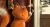Agente 00-Gato