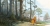 Winnie Pooh