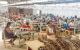 Taller santos
