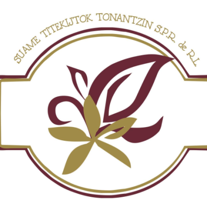 Logotipo - SAKSI