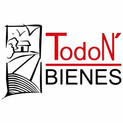 Logotipo - Inmobiliaria Todo N' Bienes