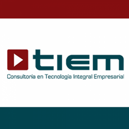Logotipo - Tiem - Consultoría en Tecnología Integral Empresarial