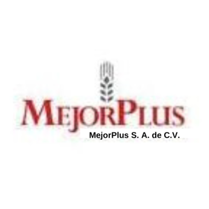 Logotipo - Mejorplus