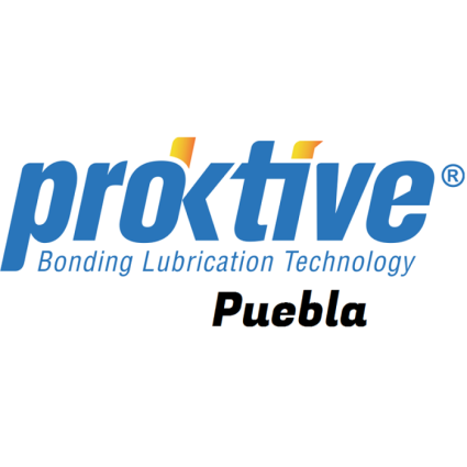 Logotipo - PROKTIVE