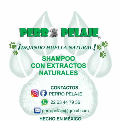 Logotipo - Perro Pelaje