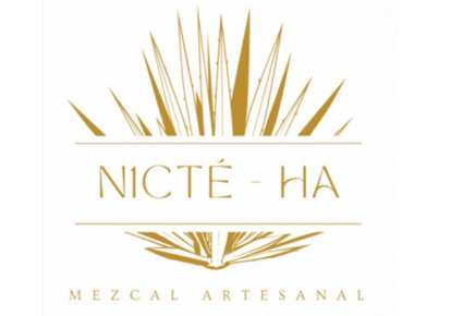 Logotipo - N1CTE-HA