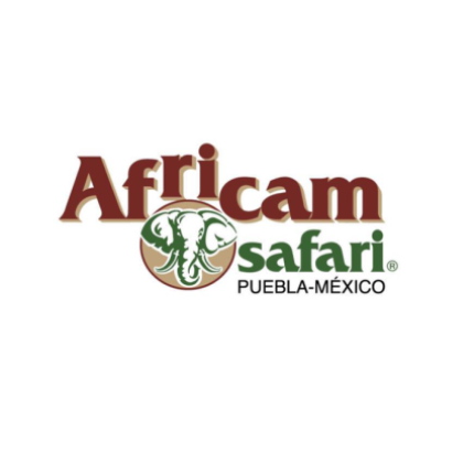 Africam Safari