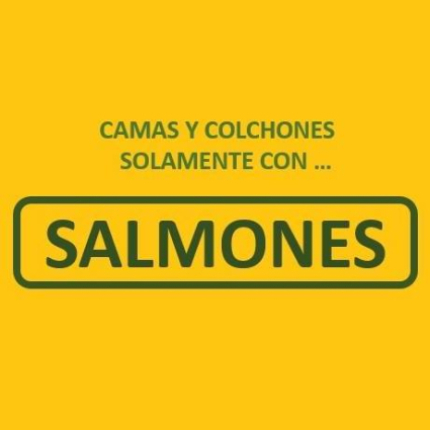 Casa Salmones