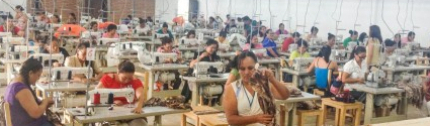 Taller santos