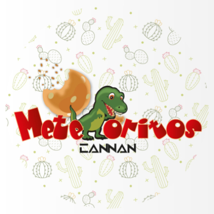 Cannan Meteoritos