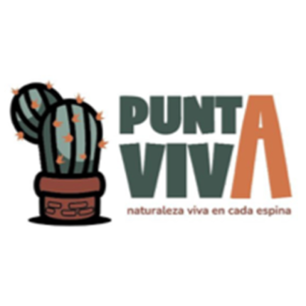 Punta Viva - Decoración con Cactus