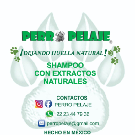 Perro Pelaje