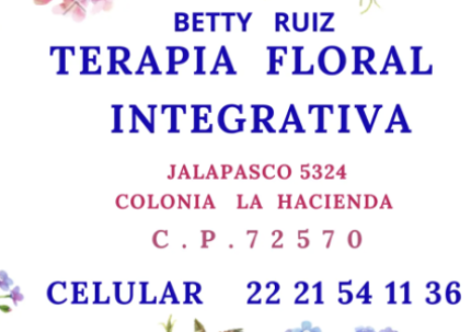 Andromeda Consultoría