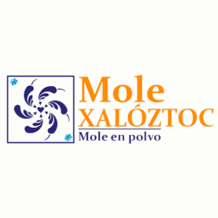 Mole Xalóztoc (mole en polvo)