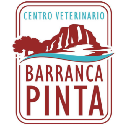 Barranca pinta