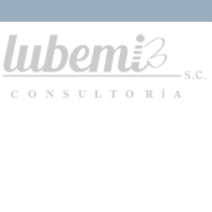Consultoría Lubemi