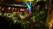 Iluminación de Plazas Comerciales, Fraccionamientos, Jardines, Eventos Sociales etc. - Leds City Ilumina tu futuro