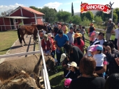 Disfruta la sección de Ranchi Aventura - Granja Didáctica El Ranchito