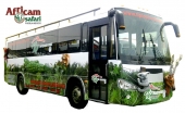 Animal bus africam safari - Tip Tour Operadora & DMC