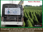 Publicidad en autobuses - Agencia H - Agencia de Publicidad en Puebla