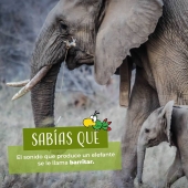 Podrás ver como interactuán distintas especies - Zoo Parque Loro