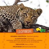 Parque Loro Puebla - Zoo Parque Loro