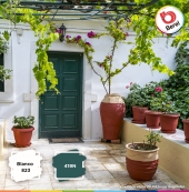 Colores para que tu jardín luzca más bello  - Pinturas Berel San Manuel