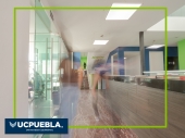  - Universidad Cuauhtémoc
