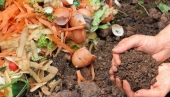  - Ecorgánico - Soluciones Ecológicas Puebla