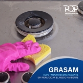 - Productos Químicos Industriales de Puebla