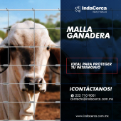  - INDACERCA 