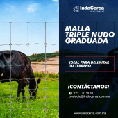 - INDACERCA 