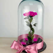 Colores vibrantes y contrastantes para un impacto visual sorprendente. - Vincent Boutique Floral