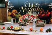  - Cirugía estética y Bariatría en Puebla - Dr. Mario Salazar Olivares