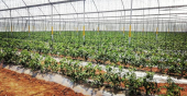  - Rex Irrigación Agroequipos
