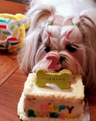  - Donna Snacks