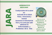  - Andromeda Consultoría