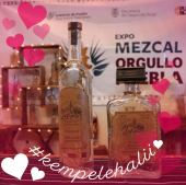  - Mezcal 11 Latidos c.s y sal Gourmet PAHEBA