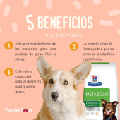 - Puppies Food