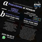  - Aleph: Math Solvers