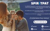  - SPIRITPAT Casita Funeraria para mascotas