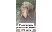  - Pecuaria Ascención