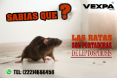  - Fumigaciones Vexpa