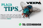  - Fumigaciones Vexpa