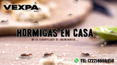  - Fumigaciones Vexpa